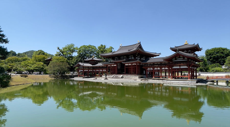 7 tips to maintain a healthy gut and enjoy your summer travels to the fullest