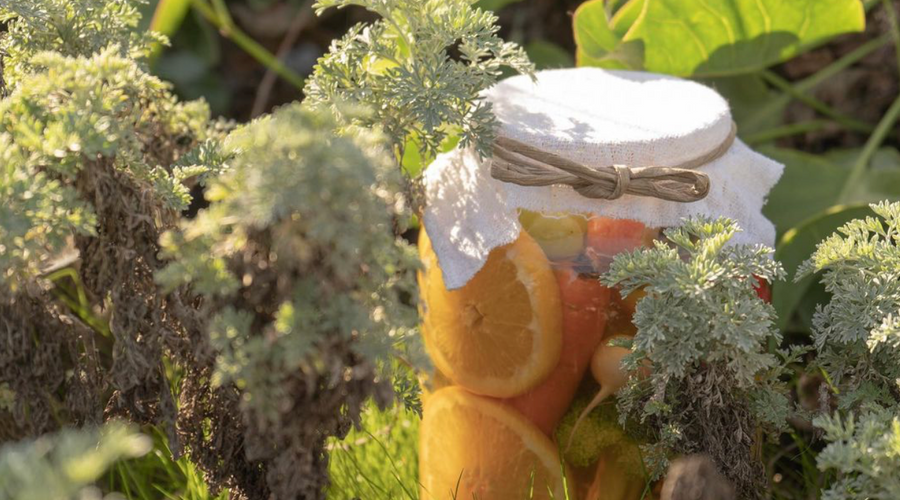 Why Your Probiotic Might Not Be Working: A Natural Perspective