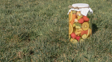 What Are the Best Foods for Gut Health in June?